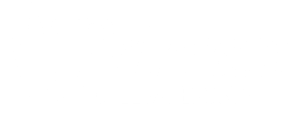 logo princess